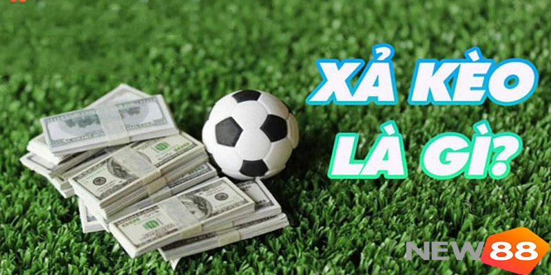 Xả Kèo Là Gì? New88 Hướng Dẫn Xả Kèo Bóng Đá Hiệu Quả 4 Xả Kèo Là Gì? New88 Hướng Dẫn Xả Kèo Bóng Đá Hiệu Quả